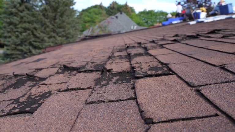 Best Rubber Roofing (EPDM, TPO)  in Alamo, CA