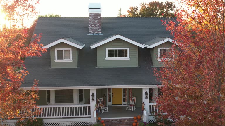 Best Roof Insulation Installation  in Alamo, CA